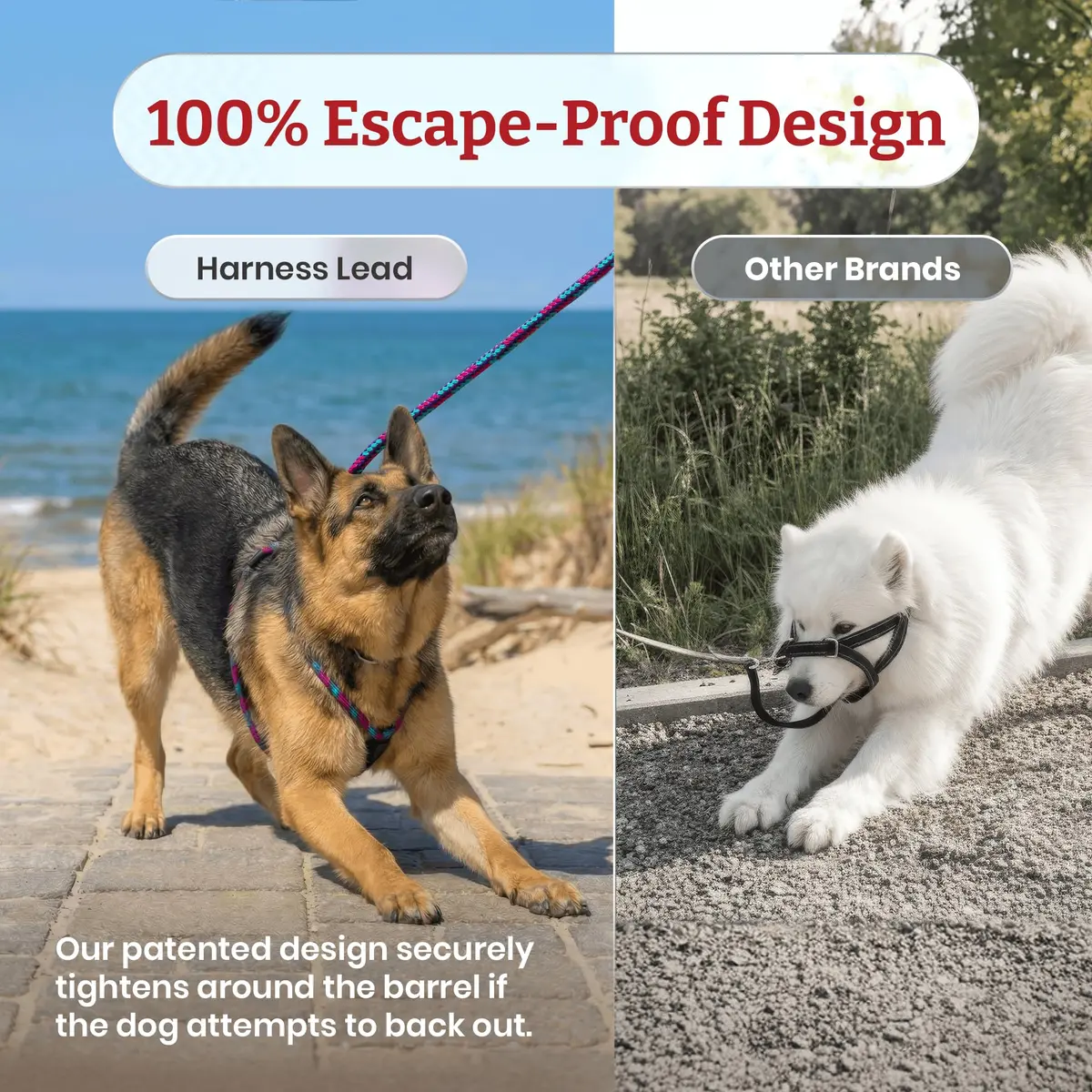 Harness Lead No Pull Dog Harness and Leash Set, Anti Pull Dog Harness for All Breeds and Sizes, One-Piece Cushioned Rope Design Safely Prevents Escaping and Pulling (Medium/Large, Red/Reflective) - view 5