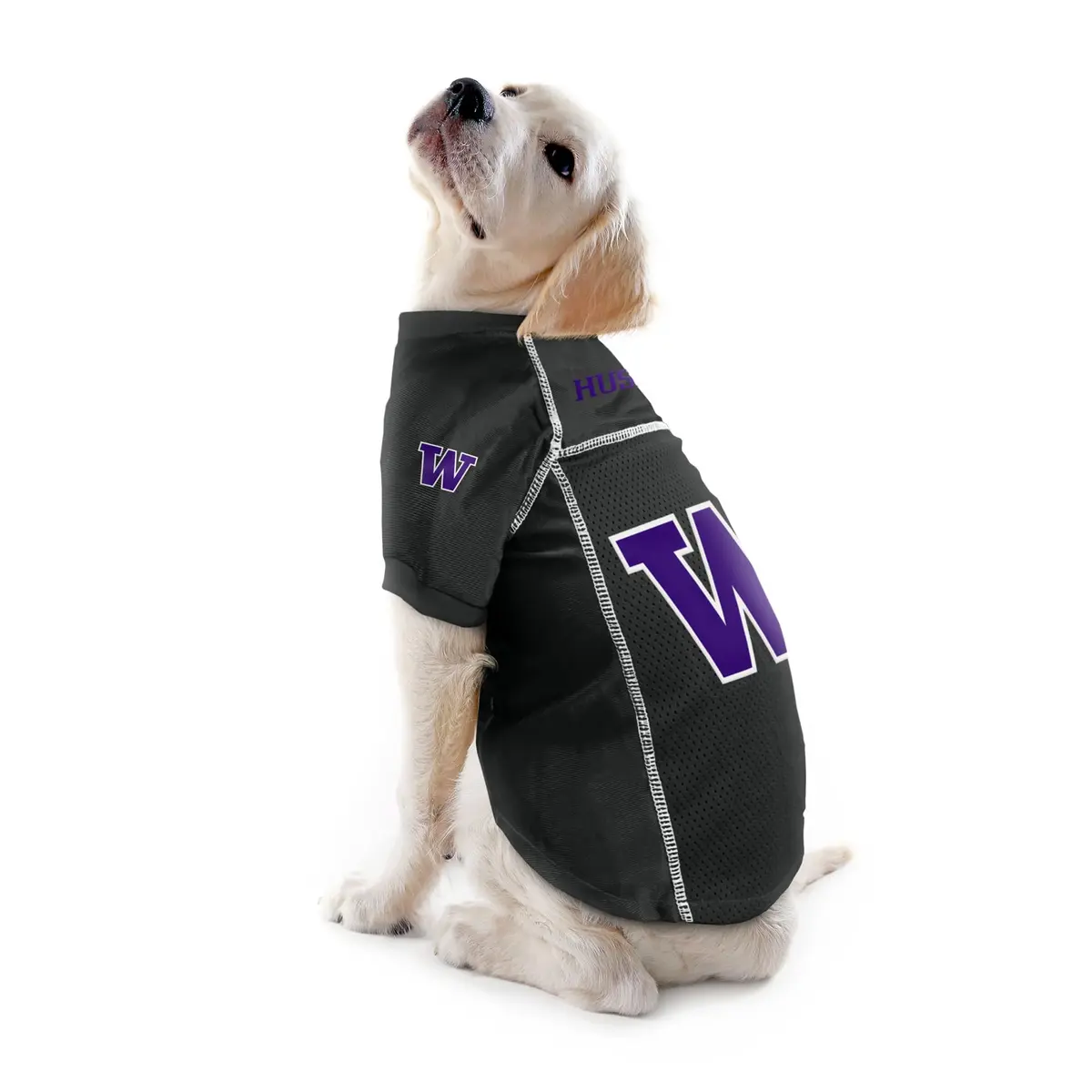 Littlearth NCAA Washington Huskies Basic Pet Jersey, Small | Team Color, Officially Licensed - view 3