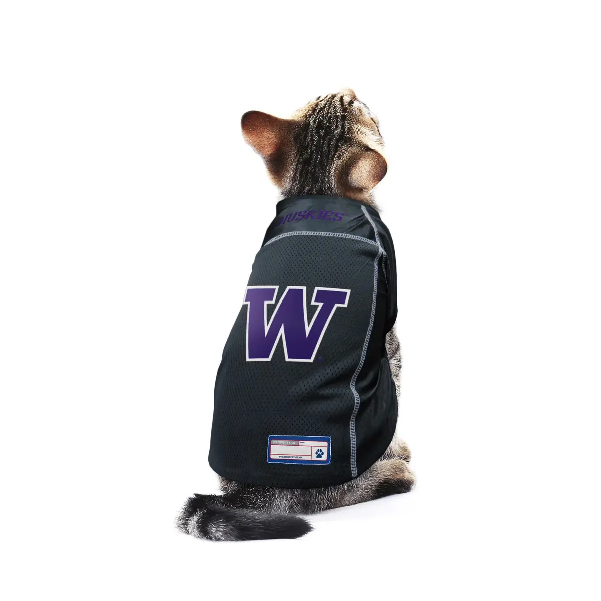 Littlearth NCAA Washington Huskies Basic Pet Jersey, Small | Team Color, Officially Licensed - view 4