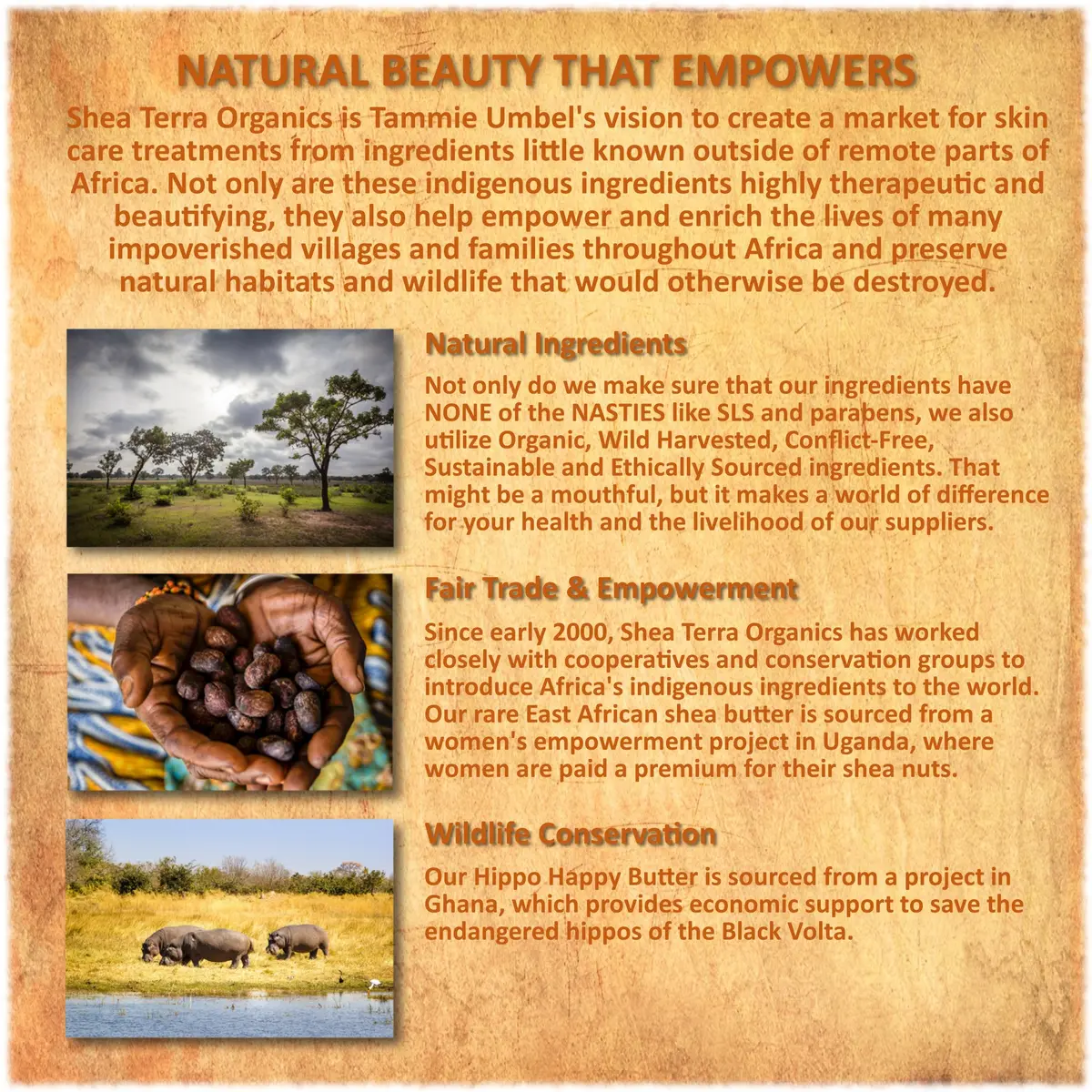 Shea Terra Egyptian Black Seed Oil, Certified Organic, 3.38 oz | Cold-Pressed & Unrefined for Skin & Hair - view 5