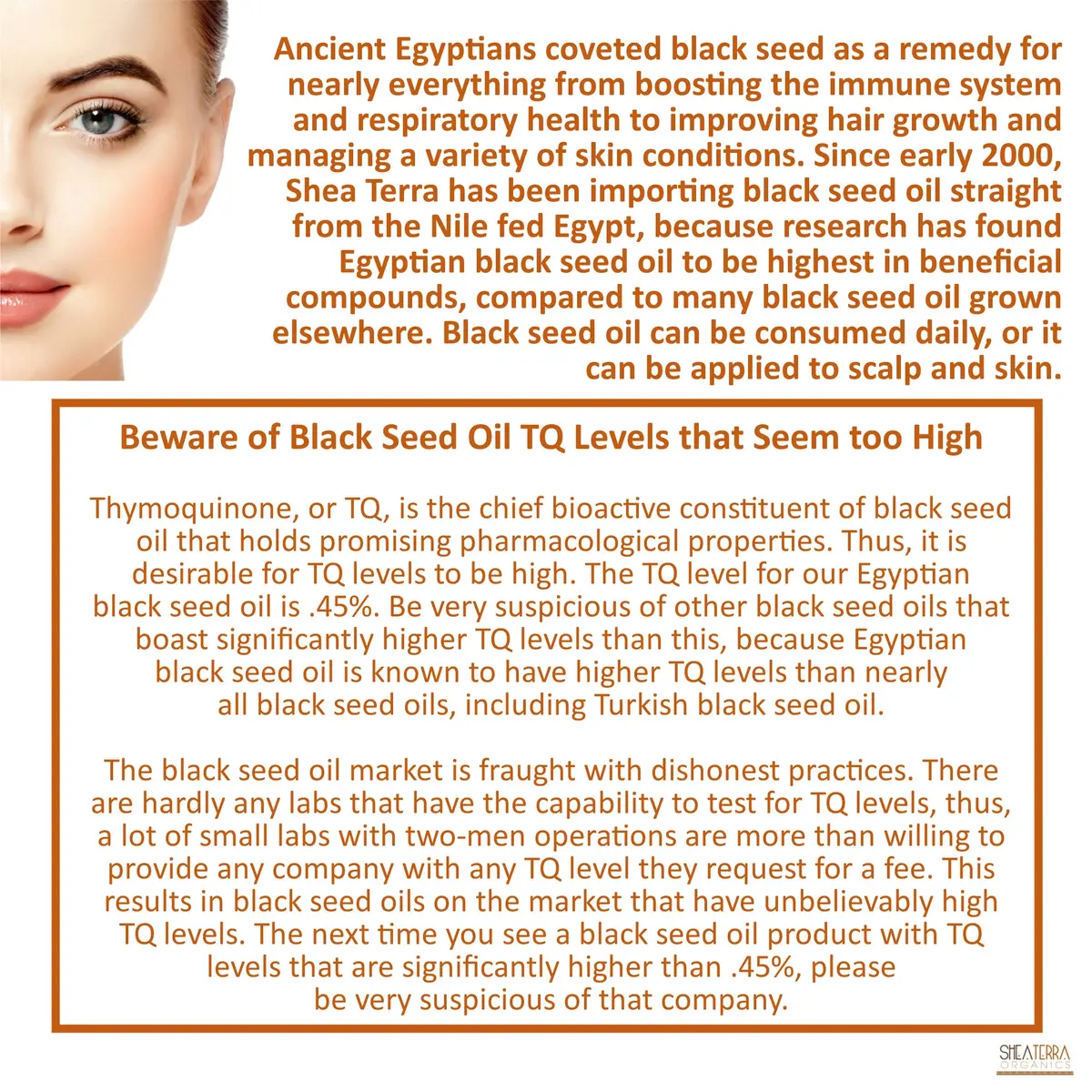 Shea Terra Egyptian Black Seed Oil, Certified Organic, 3.38 oz | Cold-Pressed & Unrefined for Skin & Hair - view 3