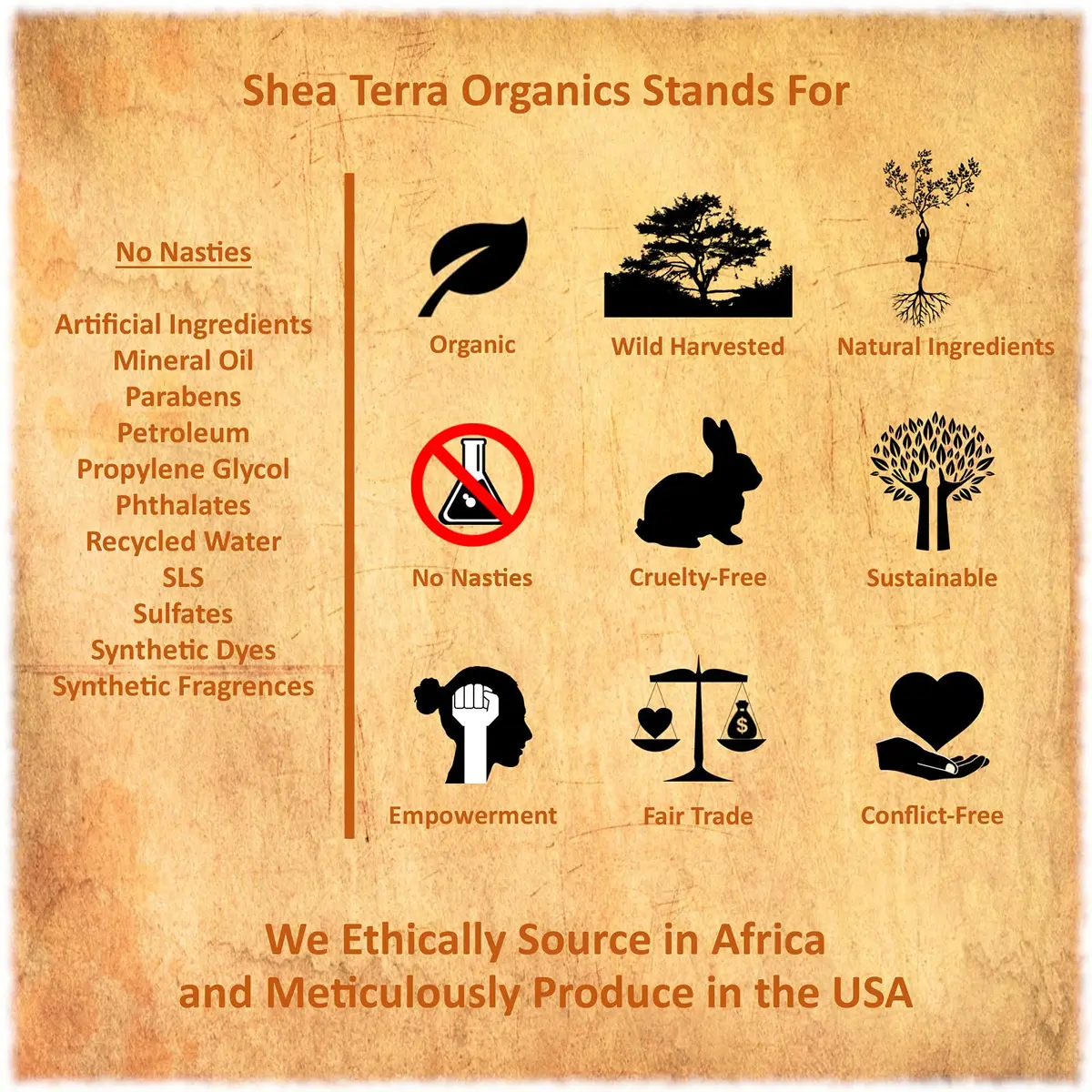 Shea Terra Egyptian Black Seed Oil, Certified Organic, 3.38 oz | Cold-Pressed & Unrefined for Skin & Hair - view 4