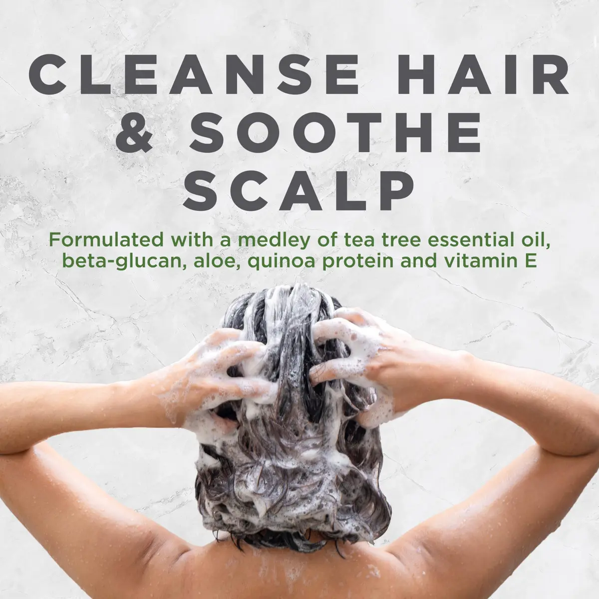 Avalon Organics Tea Tree Shampoo 11 Fl Oz | Scalp Well-Being & Hair Softness - view 3
