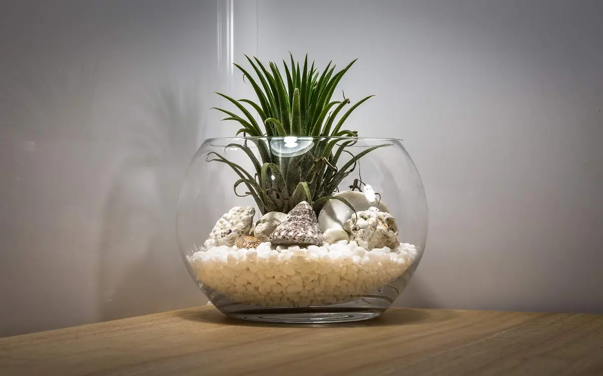 WGVI Large Glass Bubble Vase 23cm (9"D) | Handcrafted Clear Decorative Bowl for Home & Events - view 6