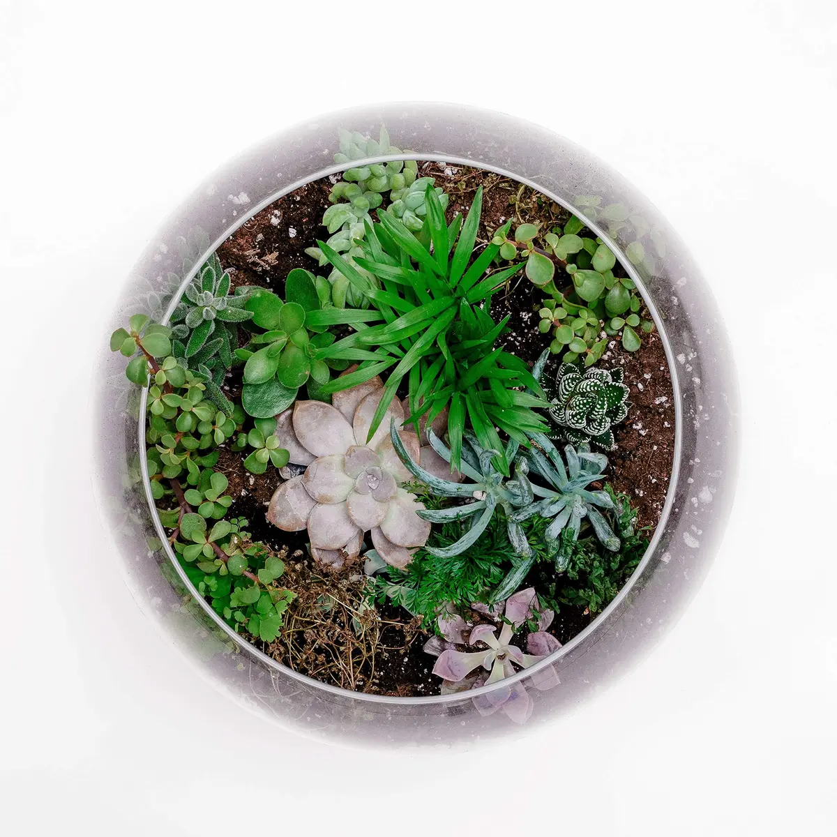 WGVI Large Glass Bubble Vase 23cm (9"D) | Handcrafted Clear Decorative Bowl for Home & Events - view 7