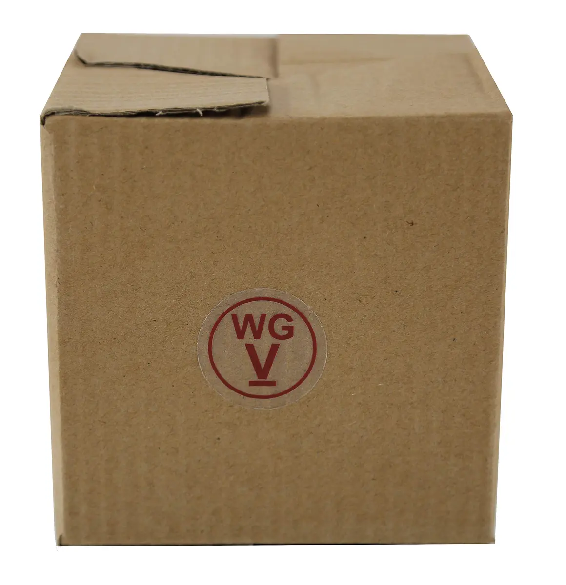 WGVI WGV Cube Glass Vase 6" Clear Elegant Floral Accent Container - view 8