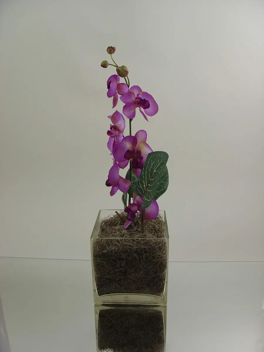 WGVI WGV Cube Glass Vase 6" Clear Elegant Floral Accent Container - view 4