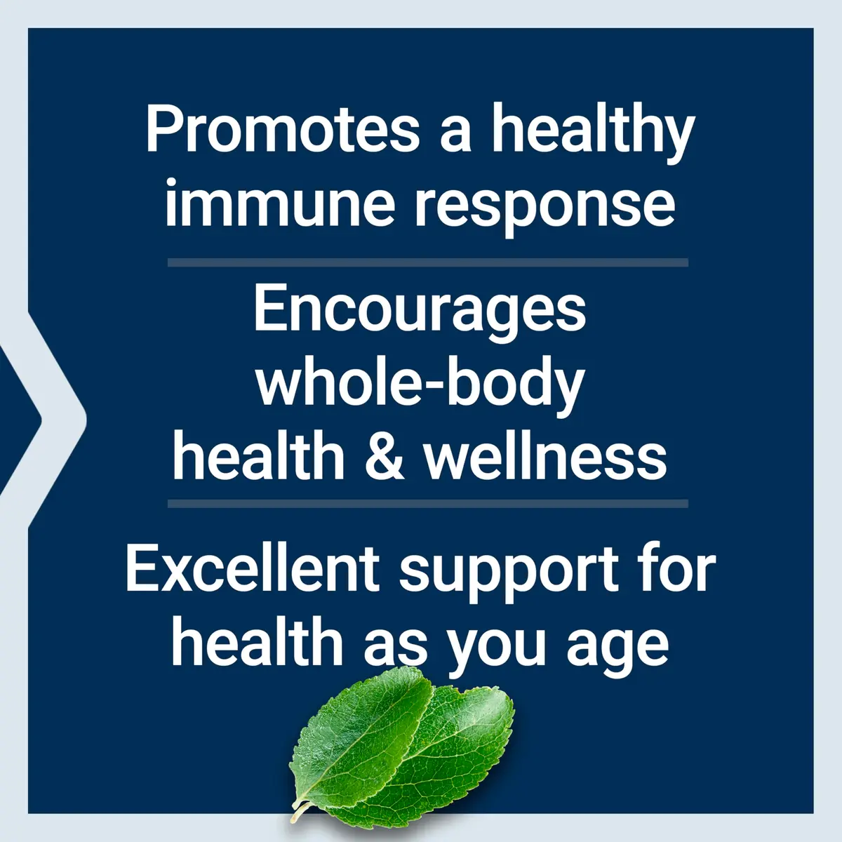 Life Extension Black Cumin Seed Oil Softgels 60 Count | Supports Healthy Immune Response & Whole-Body Wellness - view 3