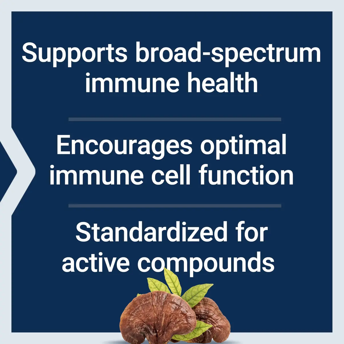 Life Extension Reishi Extract Mushroom Complex, 60 Capsules | Immune Support & Antioxidant Power - view 4