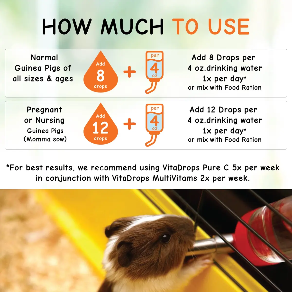 Kordon Oasis Vita-Drops-Pure C for Guinea Pig 2 Fl Oz | Supports Immune & Well-being - view 5