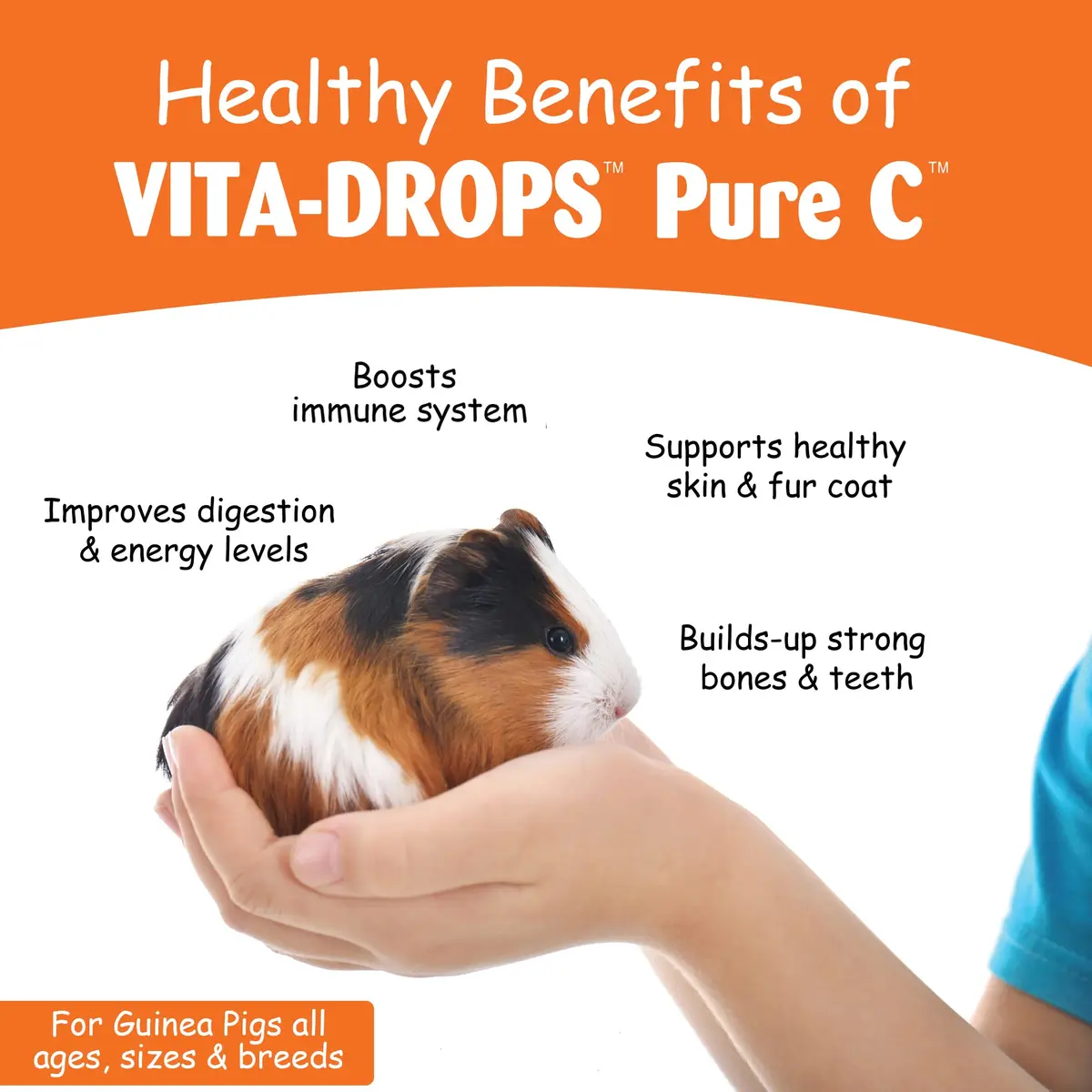 Kordon Oasis Vita-Drops-Pure C for Guinea Pig 2 Fl Oz | Supports Immune & Well-being - view 3