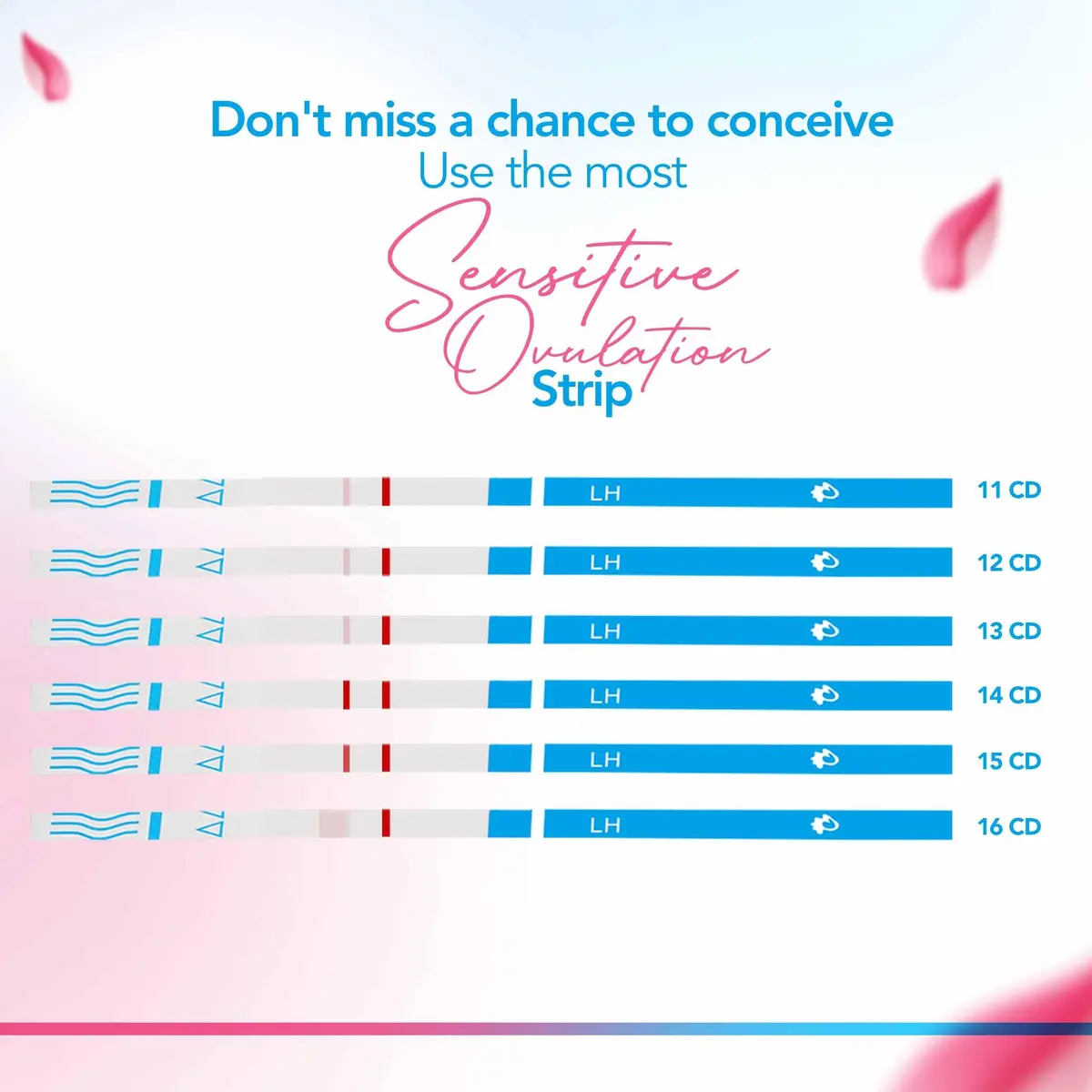 Clinical Guard Ovulation & Pregnancy Test Kit 30 Count | Fast, Accurate Fertility & Early Pregnancy Detection - view 6
