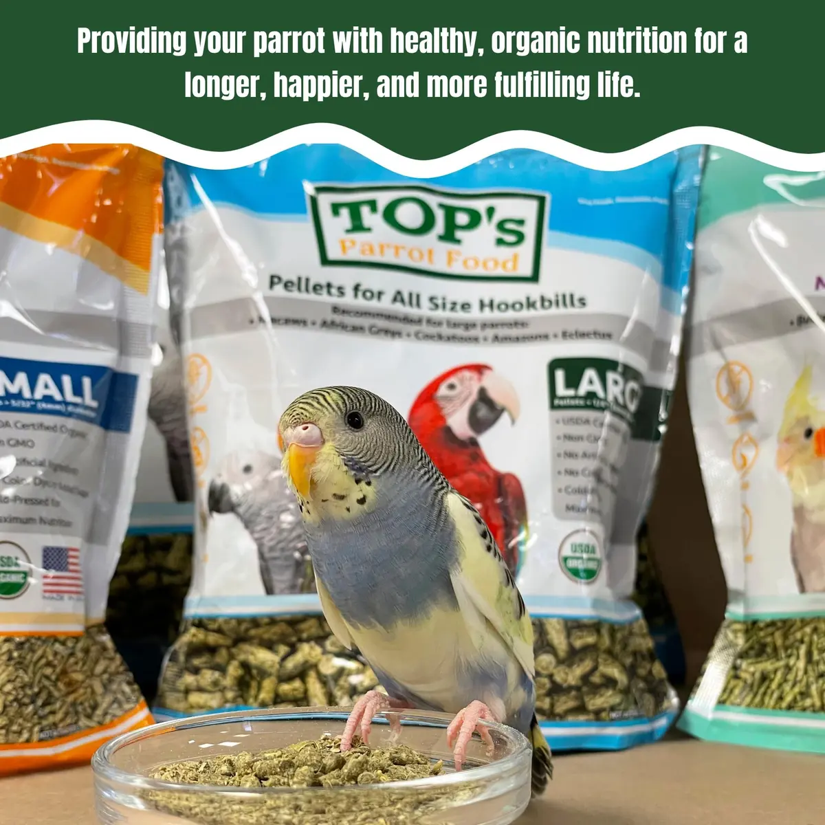TOP's Parrot Food USDA Organic Certified Non-GMO Bird Food for Hookbills 1.82 kg (4 lb) | Complete Diet for Large Parrots - view 5