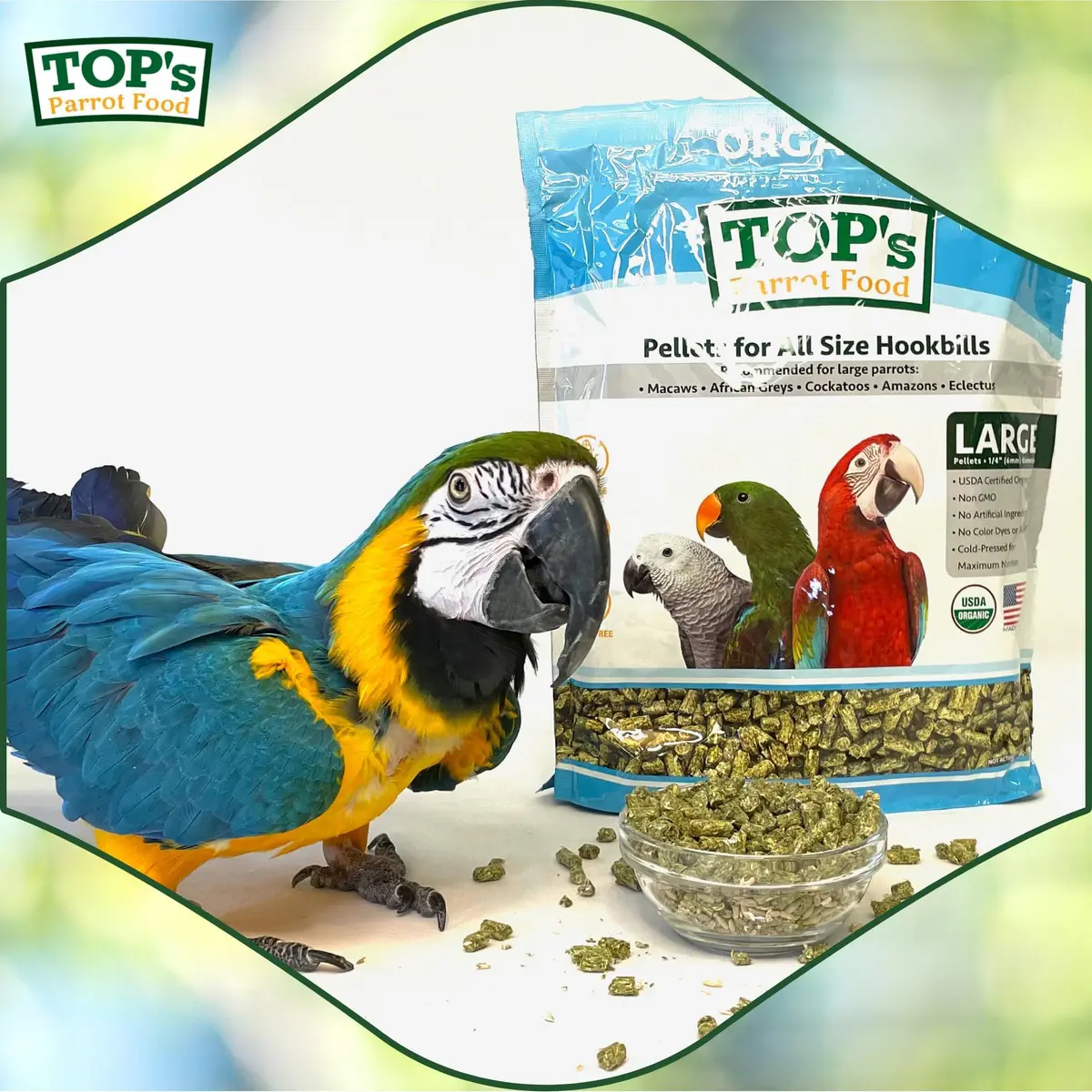 TOP's Parrot Food USDA Organic Certified Non-GMO Bird Food for Hookbills 1.82 kg (4 lb) | Complete Diet for Large Parrots - view 6