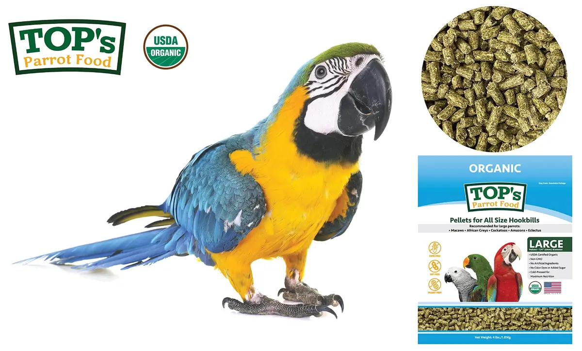 TOP's Parrot Food USDA Organic Certified Non-GMO Bird Food for Hookbills 1.82 kg (4 lb) | Complete Diet for Large Parrots - view 3