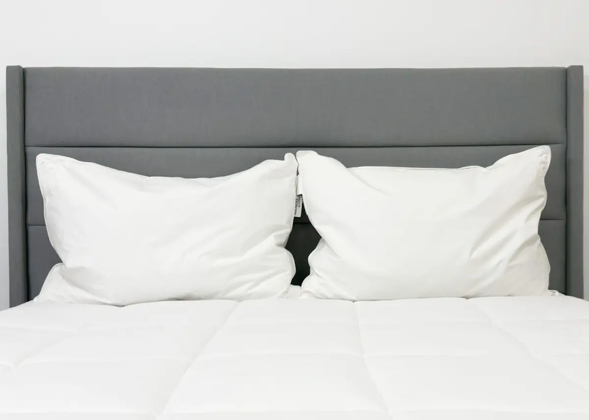 Pillowtex Hotel Feather & Down King Pillow Set (2 Pack) | Medium-Firm Support, White, Cotton Cover - view 3