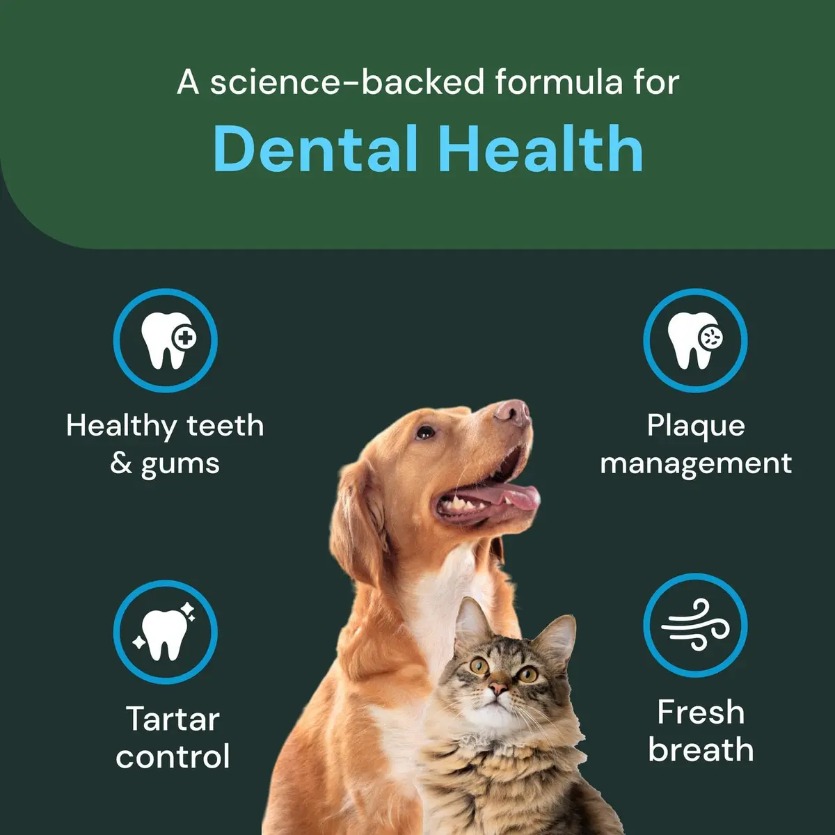 VETRISCIENCE Dental Care Powder 16 Oz | Supports Oral Hygiene & Fresh Breath - view 4