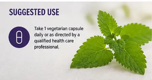 Paradise Herbs & Essentials Lemon Balm Extract, Vegan, 60 Capsules | Supports Calm & Relaxation - view 10