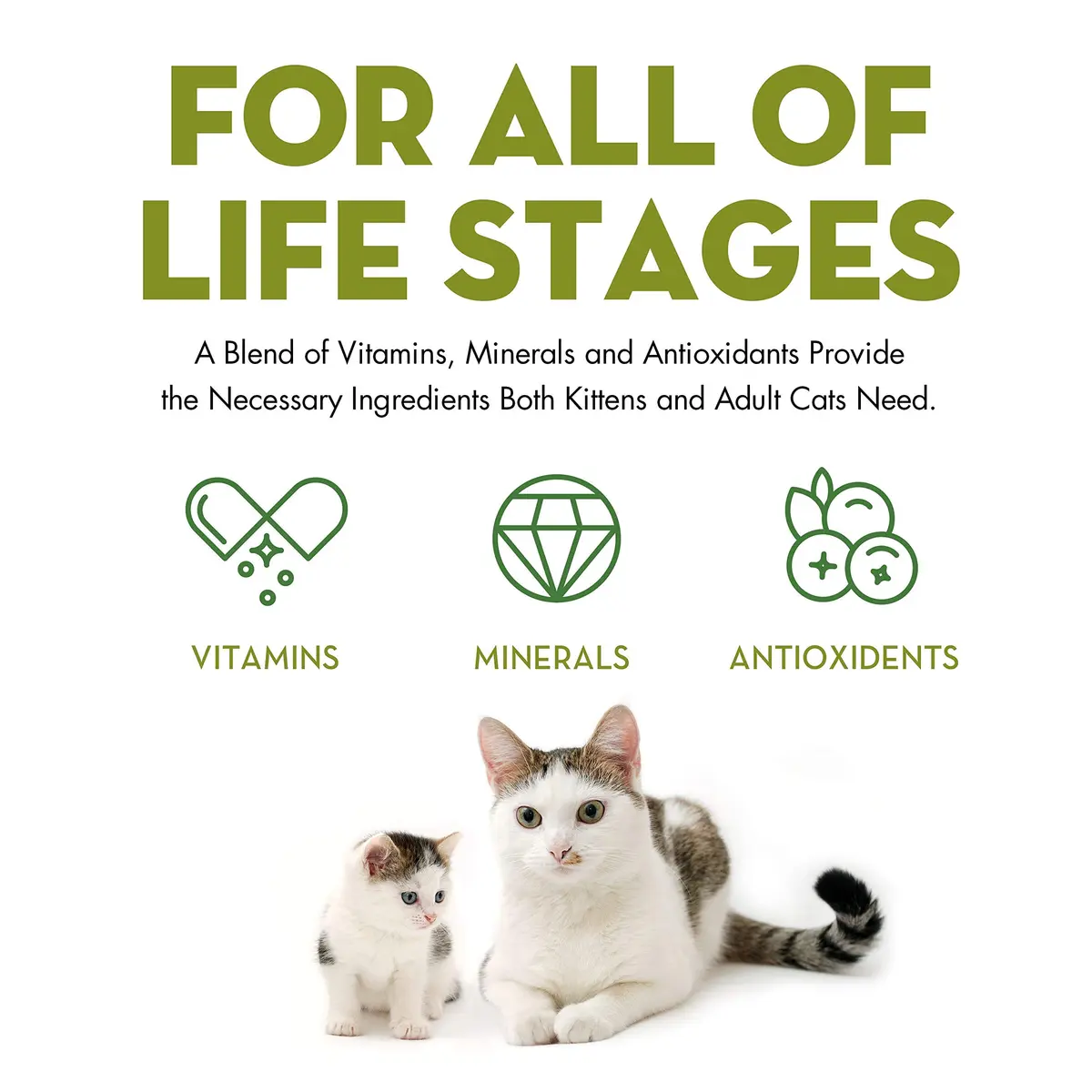 AvoDerm Natural Tuna & Crab Entrée in Gravy - Grain Free Wet Canned Cat Food 5 oz - view 3