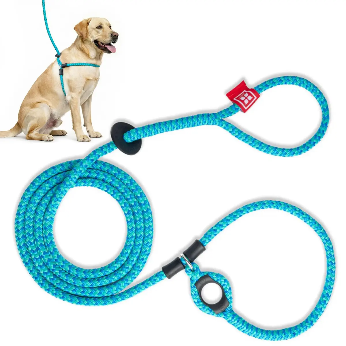 Harness Lead No Pull Dog Harness and Leash Set | Anti Pull, All Sizes, Blue/Multi - main product image