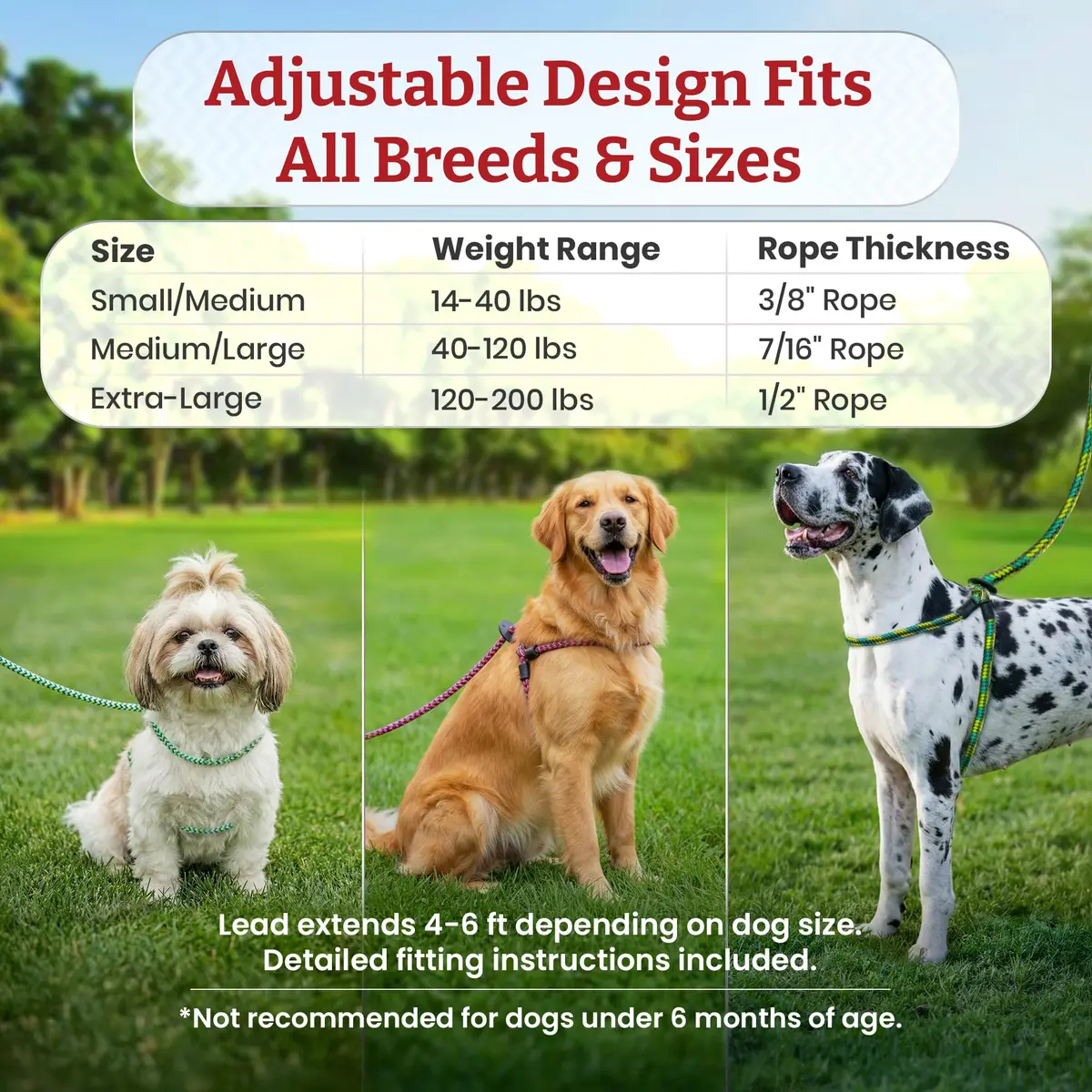 Harness Lead No Pull Dog Harness and Leash Set | Anti Pull, All Sizes, Blue/Multi - view 6
