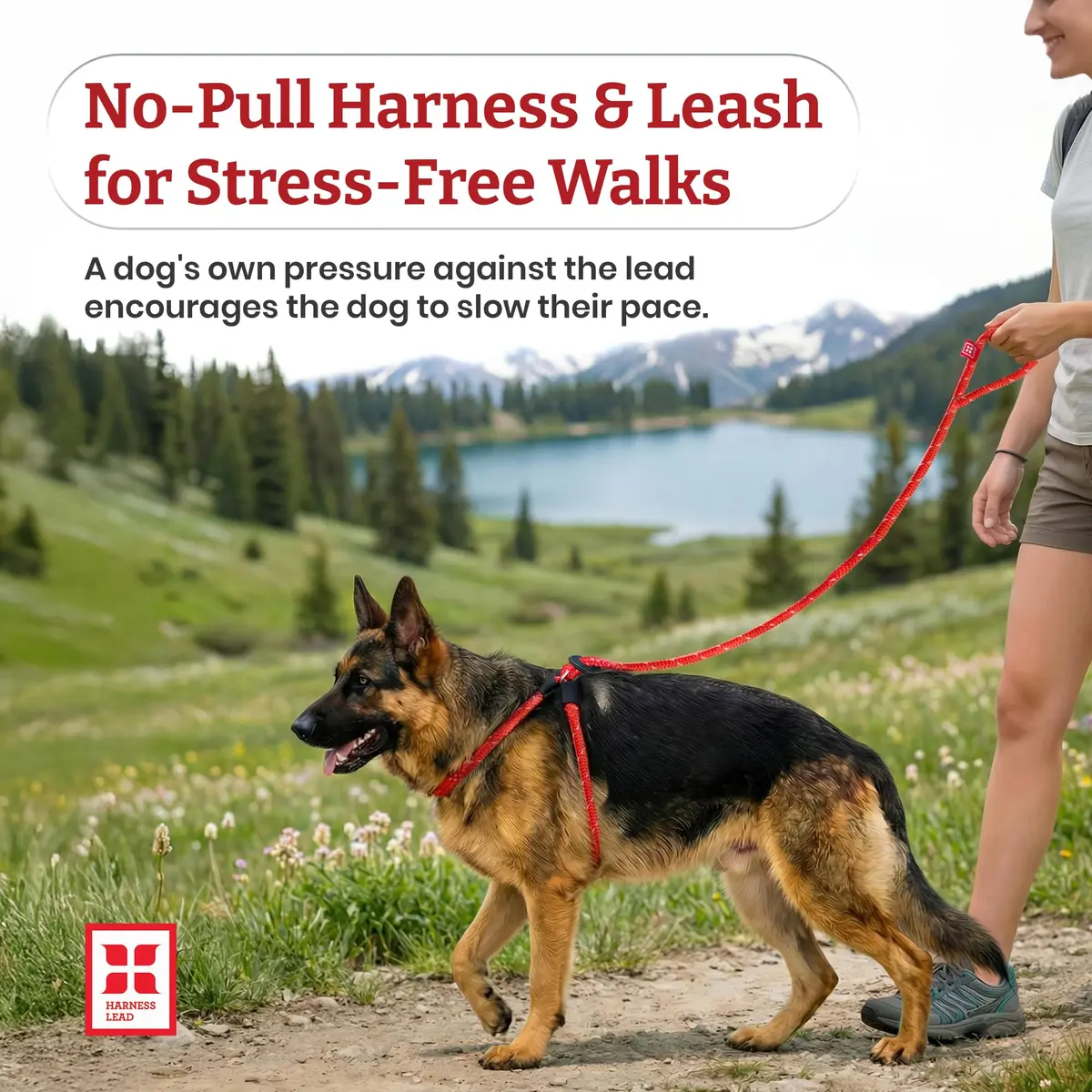 Harness Lead No Pull Dog Harness and Leash Set | Anti Pull, All Sizes, Blue/Multi - view 2