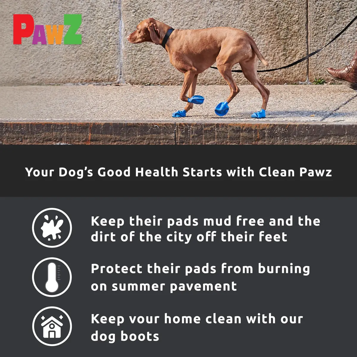 Protex PawZ Rubber Dog Boots - Waterproof Non-Slip Dog Shoes & Booties, 12 Pack | All-Weather Paw Protection for Small Dogs - view 5