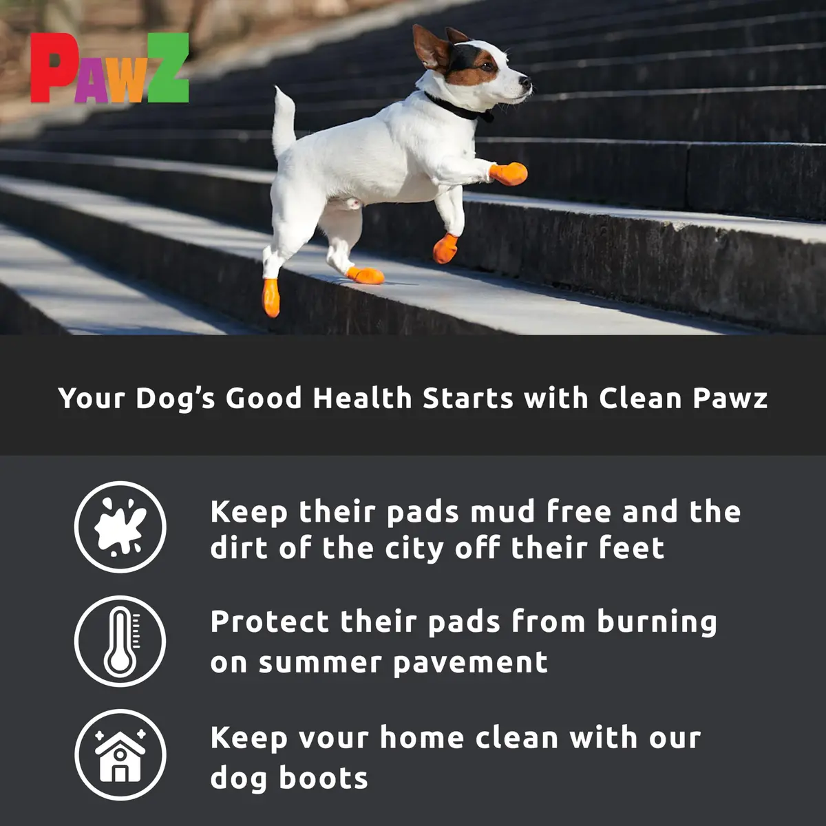 Protex PawZ Rubber Dog Boots Waterproof Non-Slip Shoes 12 Pack | All-Weather Paw Protection (120 chars) - view 5