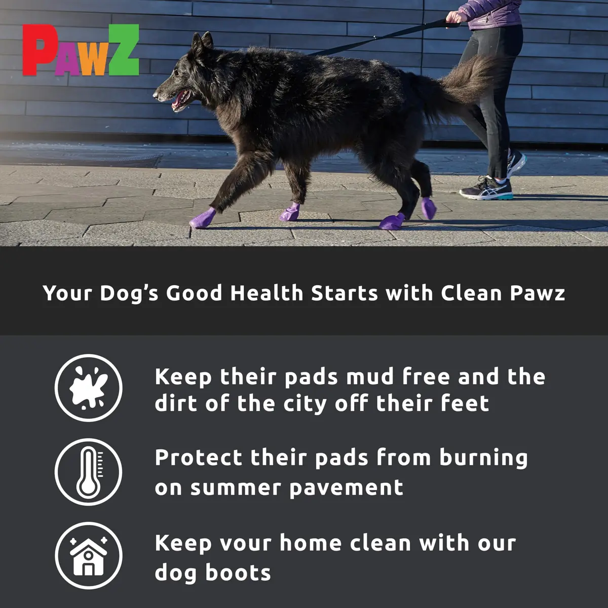 PawZ Rubber Dog Boots - Waterproof Non-Slip Dog Shoes for Hot Pavement, 12 Pack XL - view 5