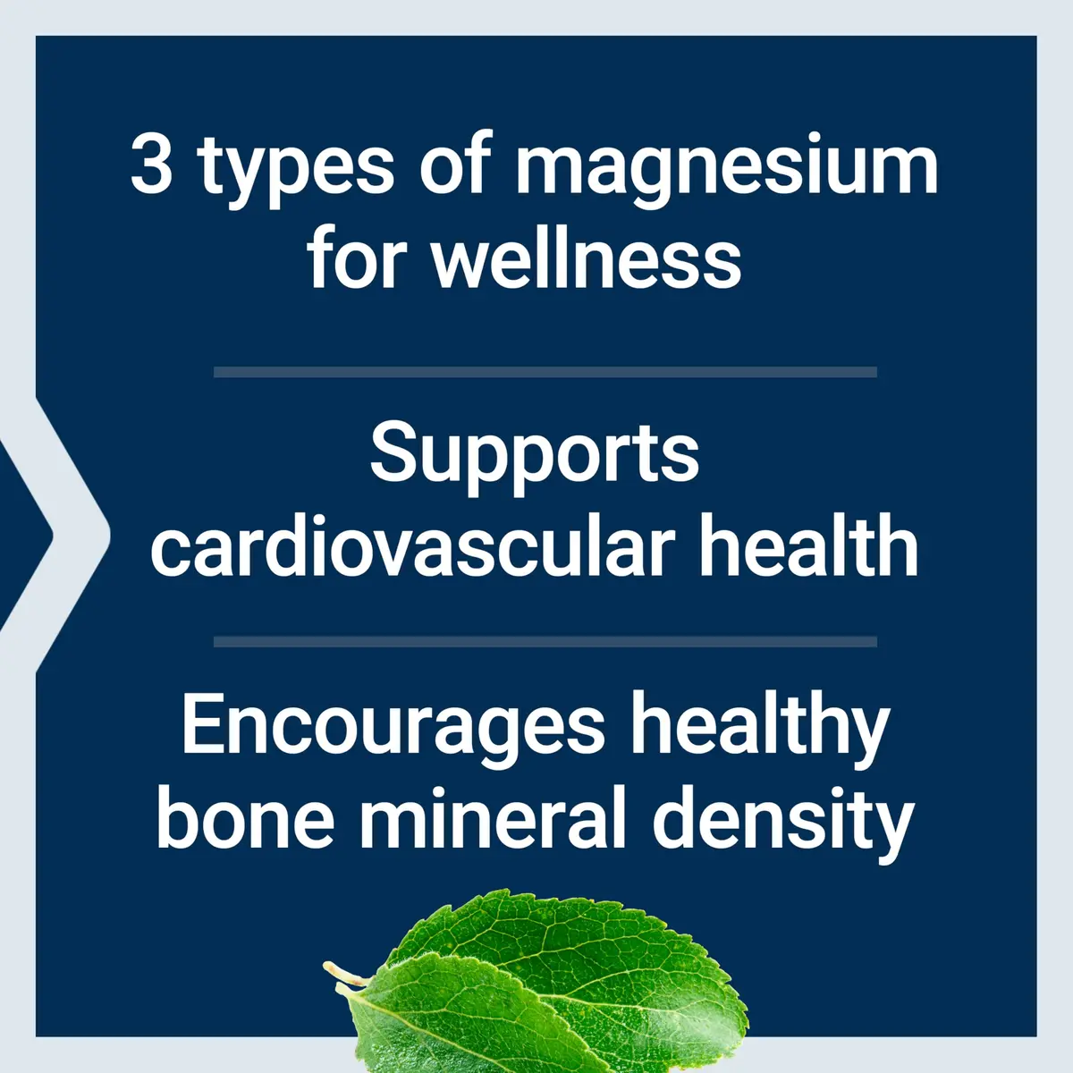 Life Extension Magnesium Caps, 500 mg | Supports Heart, Bones & Brain - view 4
