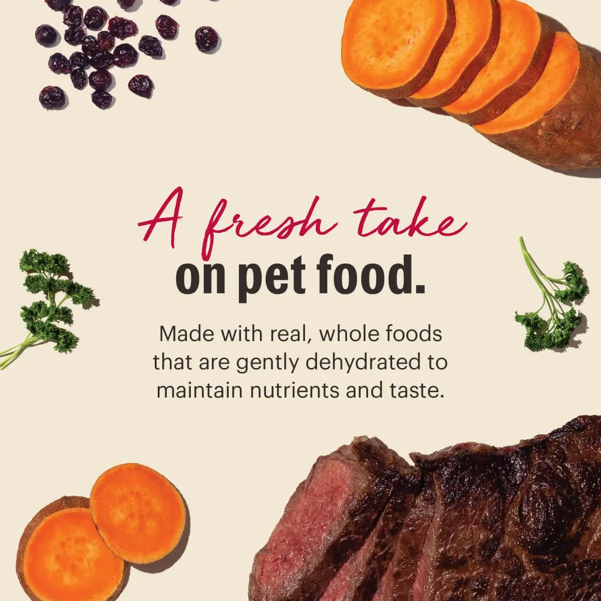 The Honest Kitchen Wholemade Grain Free Beef Recipe Dehydrated Dog Food 10 lb (4.54 kg) | Makes 40 lbs of Wholesome Food - view 3