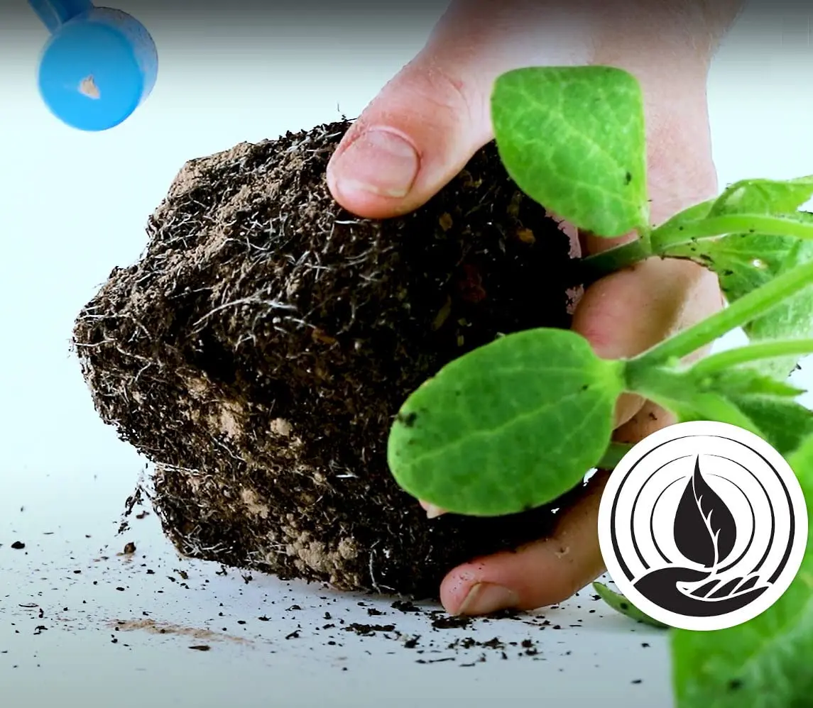Plant Success Great White Premium Mycorrhizae 1 oz (28.35 g) | Beneficial Bacteria & Trichoderma Root Stimulator - view 2