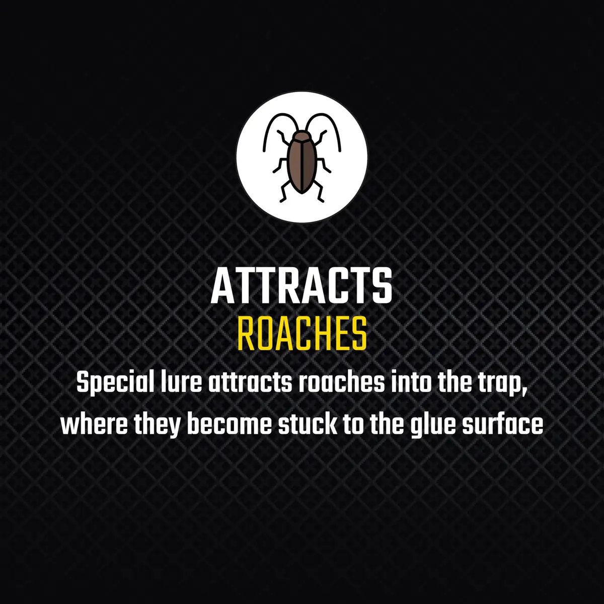 United Industries Roach Motel Traps 2 Count | No Pesticides, Hides Dead Bugs, Up to 4 Months - view 6