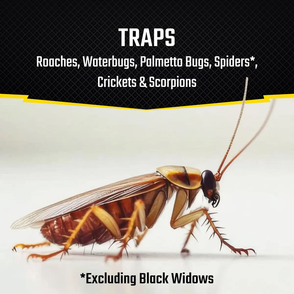 United Industries Roach Motel Traps 2 Count | No Pesticides, Hides Dead Bugs, Up to 4 Months - view 2