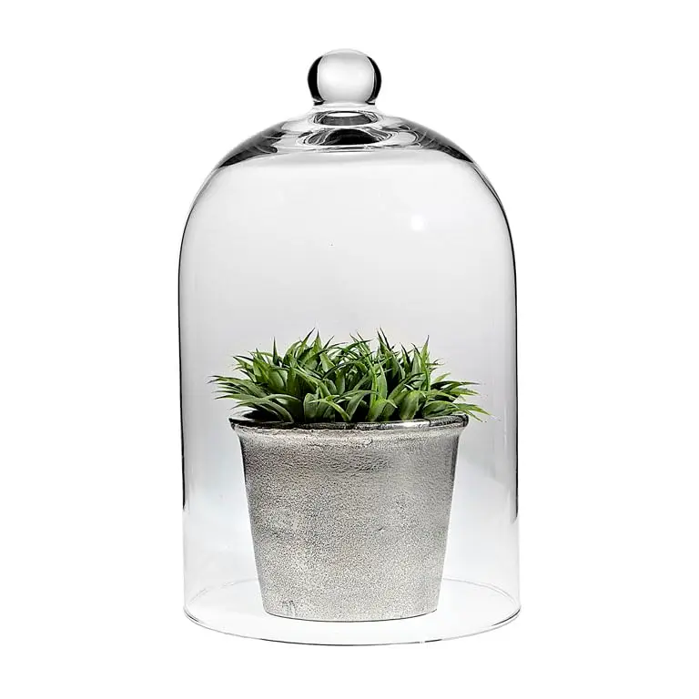Abbott Collection Classic Shaped Cloche | Elegant Glass Display Dome 10"H - view 2