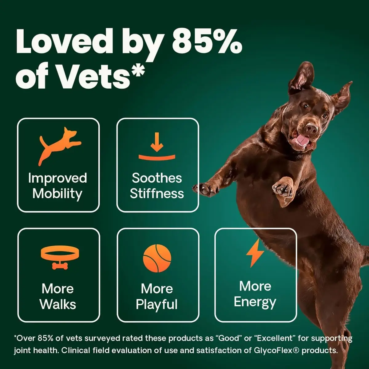VetriScience Glycoflex 3 Hip and Joint Supplement for Dogs 240 Tablets (2-Pack) | Clinically Proven Canine Joint Support - view 5
