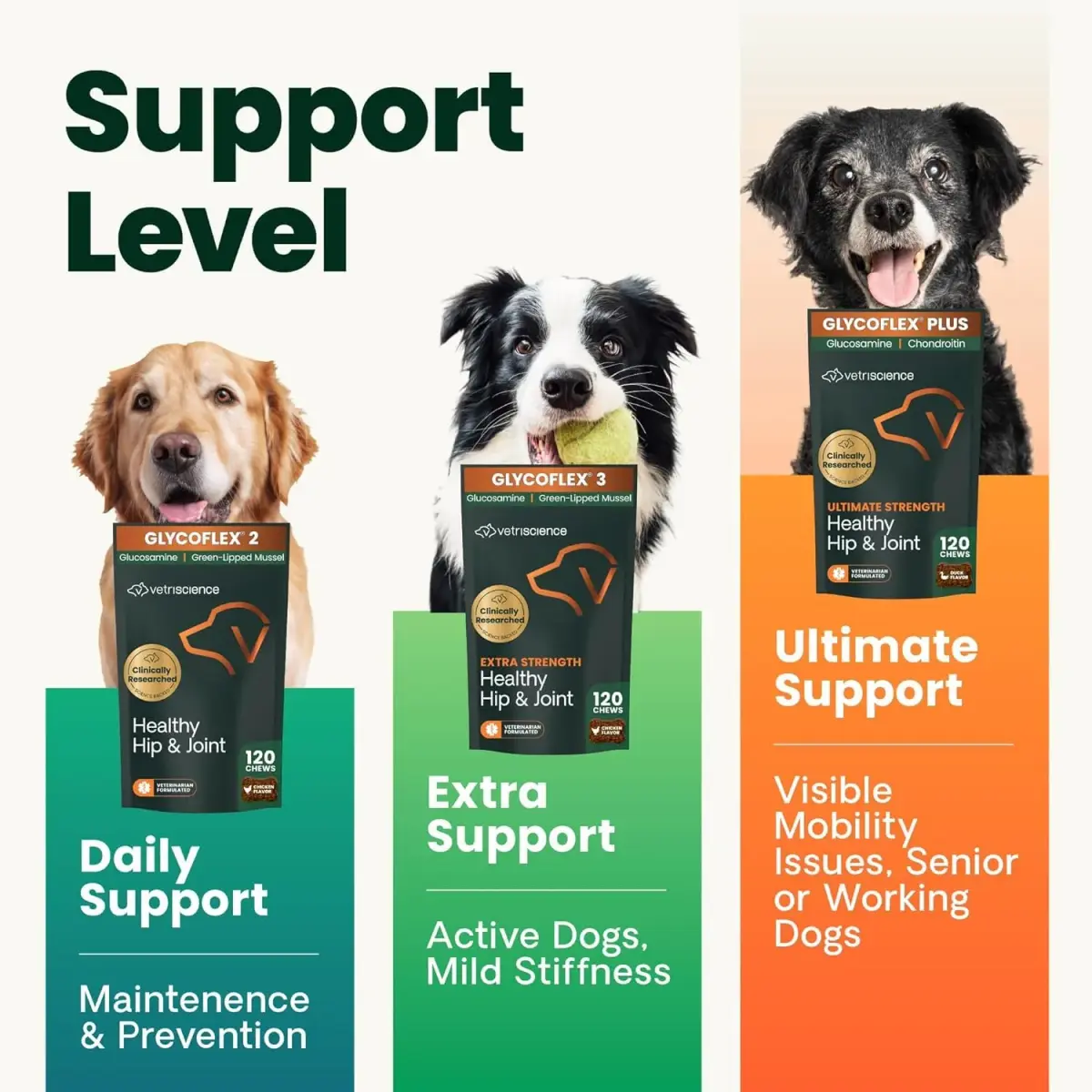 VetriScience Glycoflex 3 Hip and Joint Supplement for Dogs 240 Tablets (2-Pack) | Clinically Proven Canine Joint Support - view 2