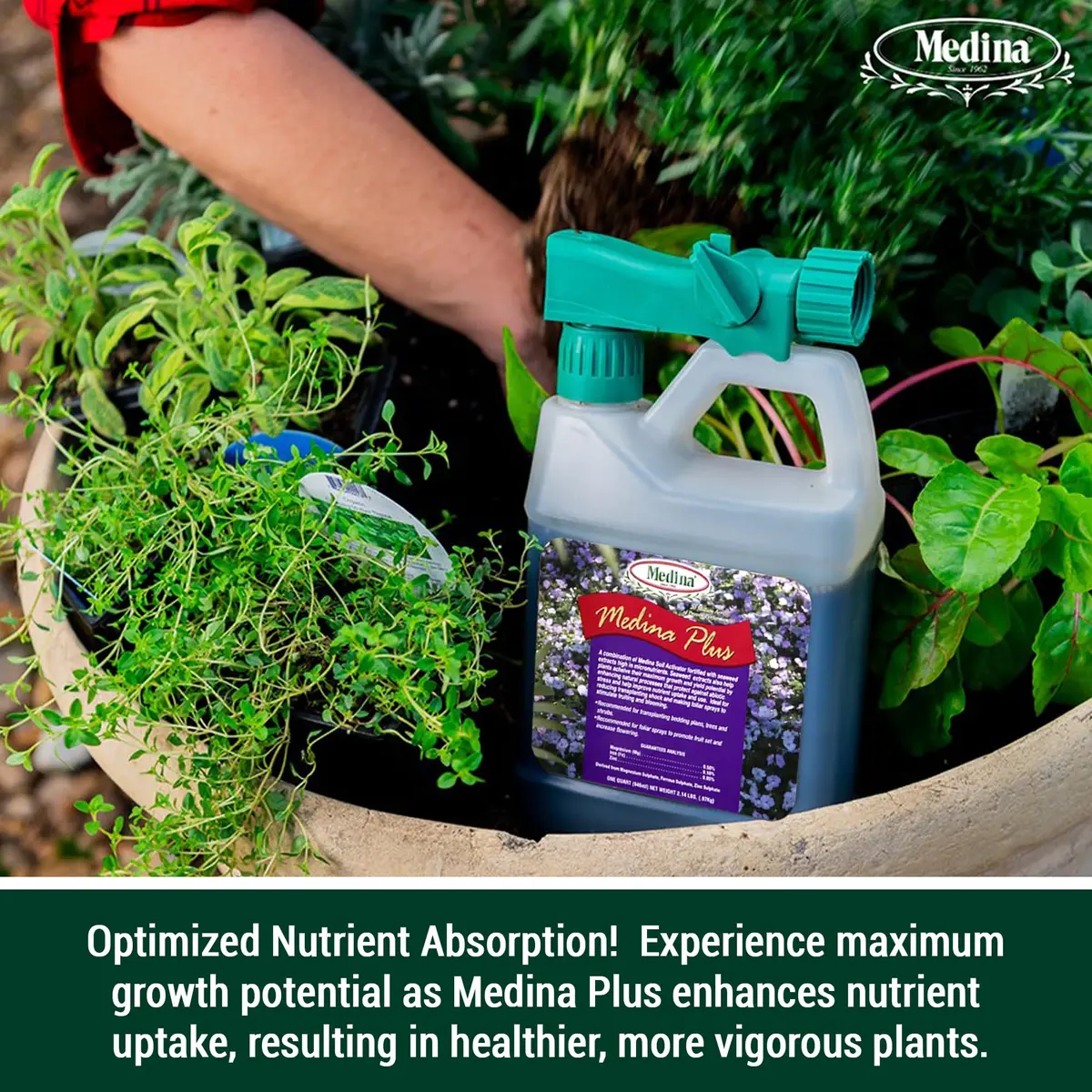 Medina Soil Activator - Liquid Soil Loosener for Lawns & Gardens | Micronutrient-Rich Soil Conditioner & Softener for Plants - view 6