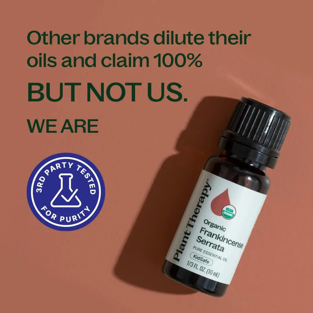 Plant Therapy Organic Frankincense Serrata Essential Oil 10 mL | USDA Certified Organic, Non-GMO - view 5
