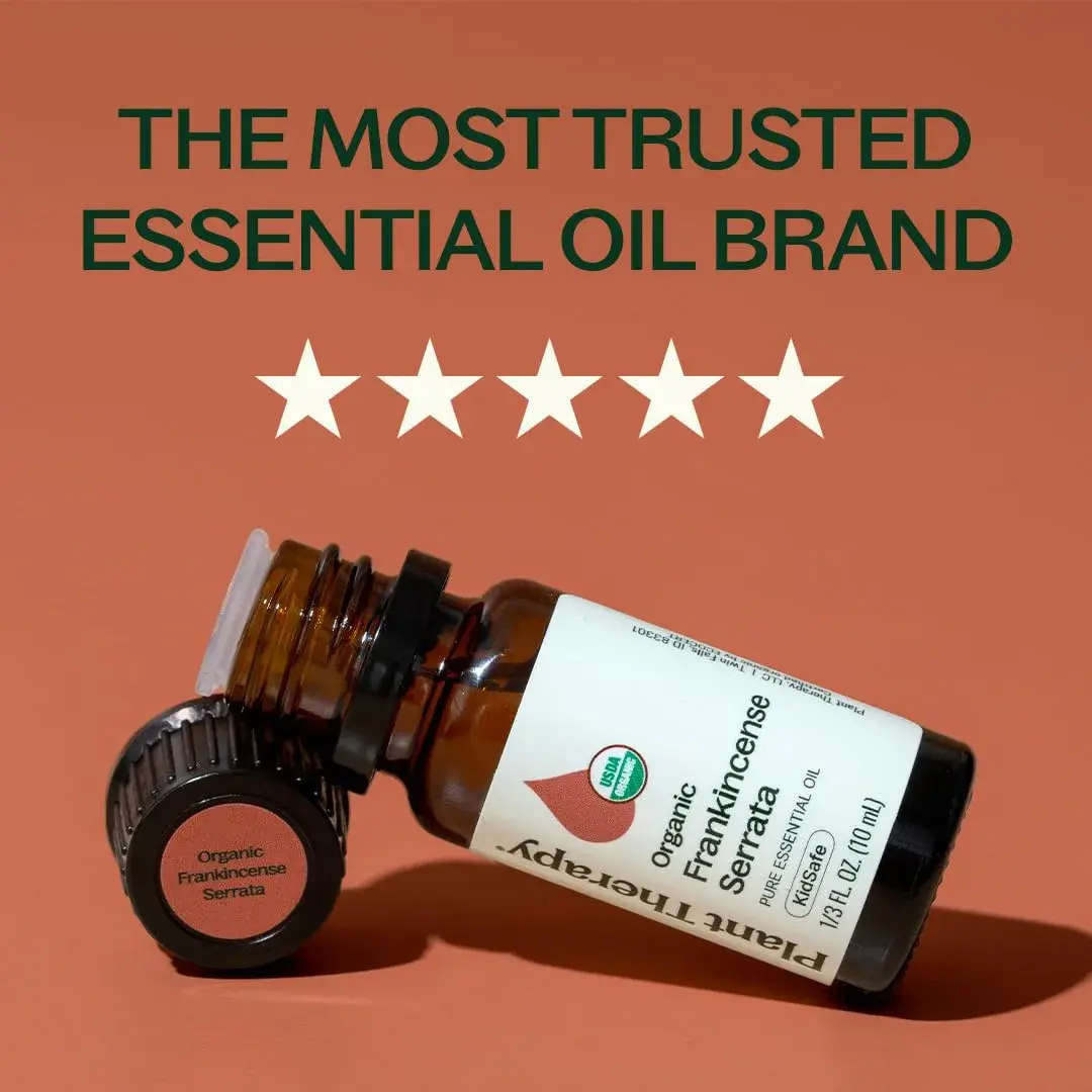 Plant Therapy Organic Frankincense Serrata Essential Oil 10 mL | USDA Certified Organic, Non-GMO - view 3