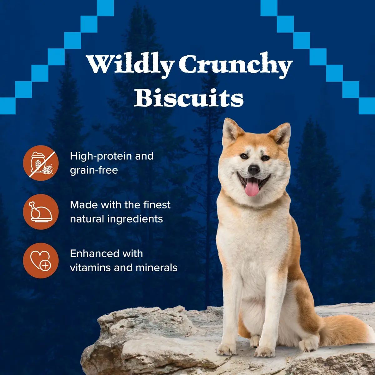 Blue Buffalo Wilderness Turkey Crunchy Dog Biscuits, Grain-Free, 283g (10 oz) | High-Protein, No Artificial Preservatives - view 6