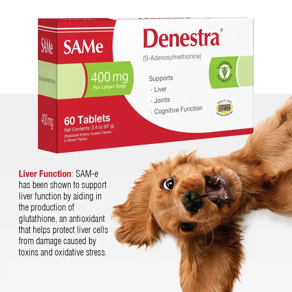 Denestra S-Adenosyl-L-Methionine 400 mg for Dogs | Liver, Joint & Brain Support - view 4