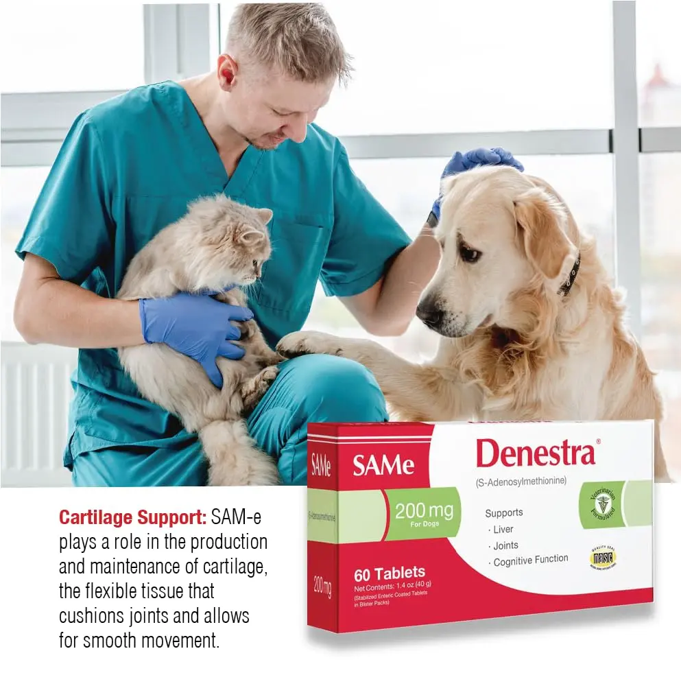 Denestra S-Adenosyl-L-Methionine 400 mg for Dogs | Liver, Joint & Brain Support - view 5