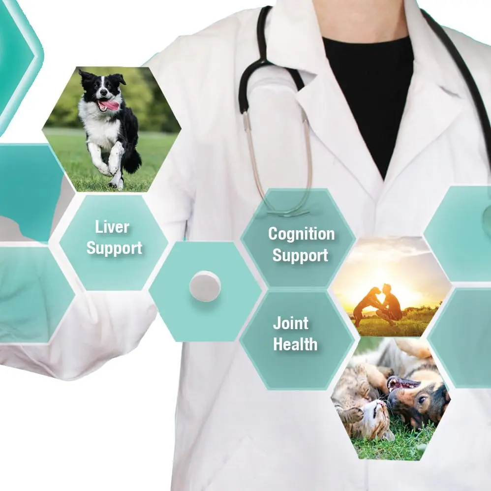 Denestra S-Adenosyl-L-Methionine 400 mg for Dogs | Liver, Joint & Brain Support - view 6