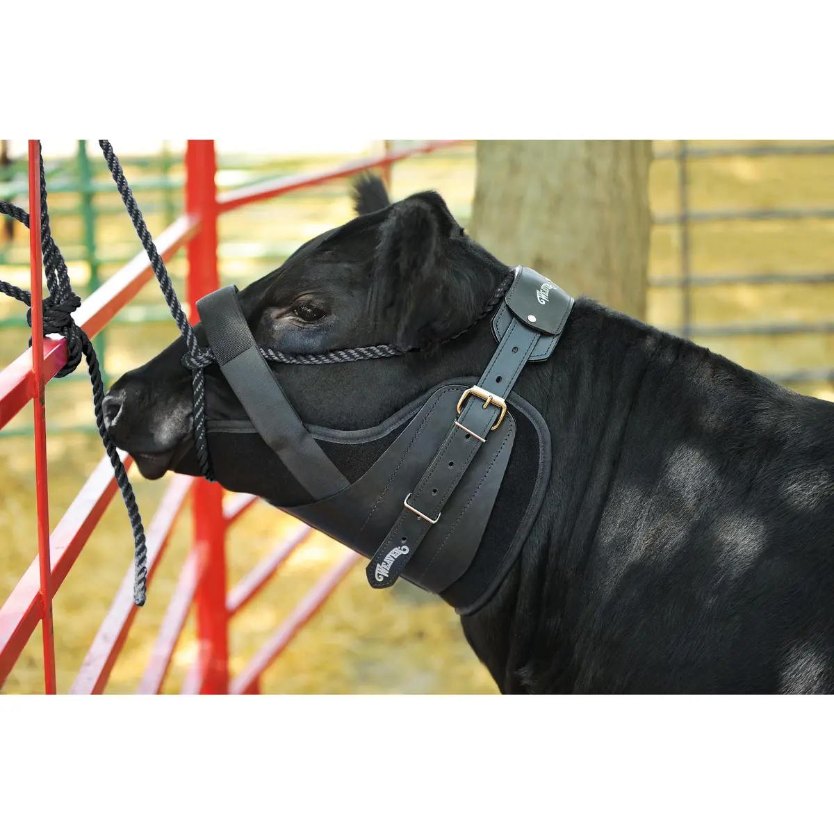 Weaver Livestock Kirk Stierwalt Neck Sweat System Large Black | Neoprene Neck Protector for Cattle - view 3
