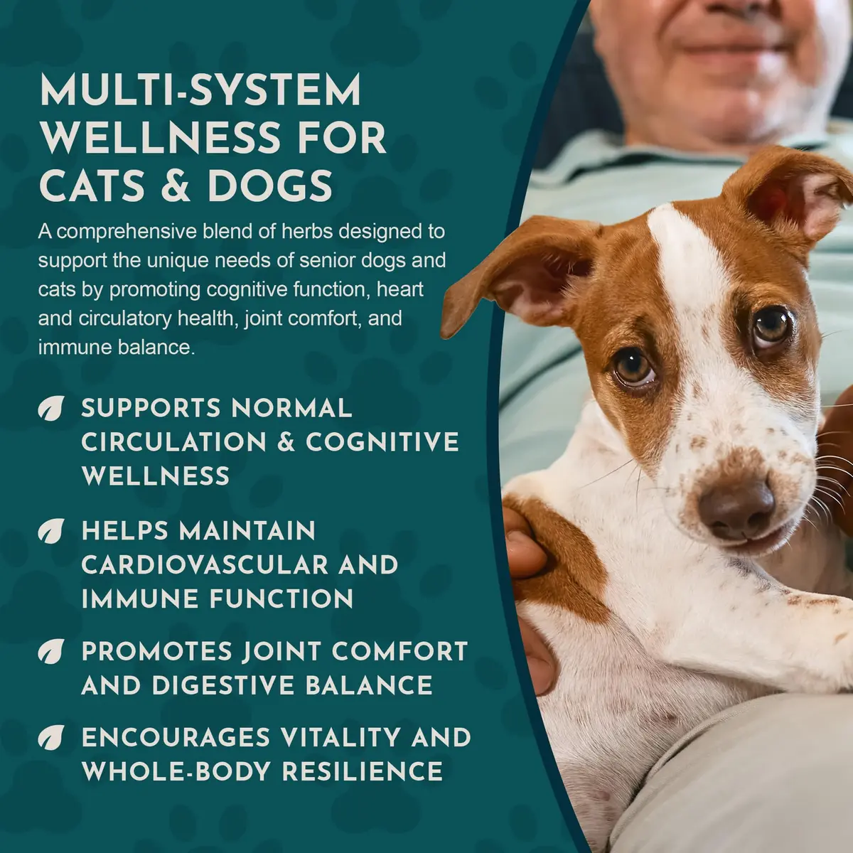 Animal Essentials Senior Support for Dogs & Cats Supplement - 2 fl Oz | Supports Mental & Physical Well-Being - view 6