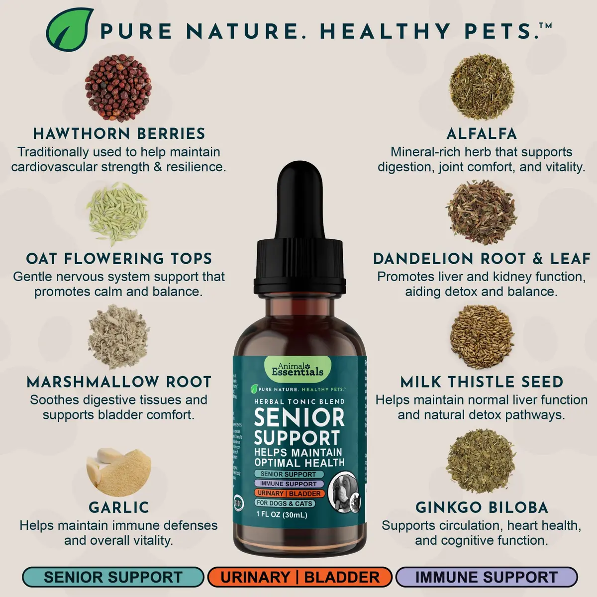 Animal Essentials Senior Support for Dogs & Cats Supplement - 2 fl Oz | Supports Mental & Physical Well-Being - view 4