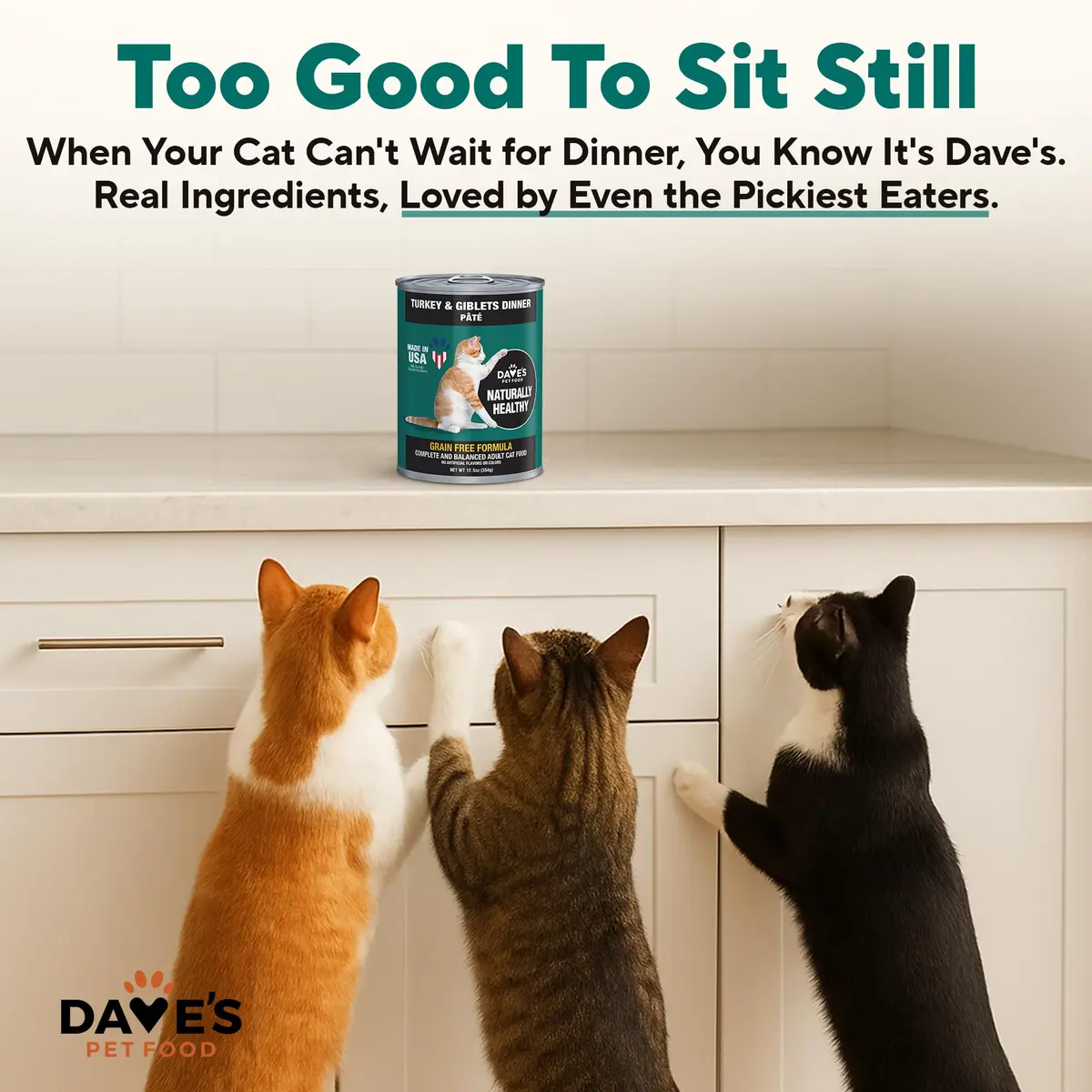 Dave's Pet Food Grain Free Canned Cat Food, Turkey & Giblets Pate, 12.5 oz | High-Protein, Grain-Free Nutrition - view 6