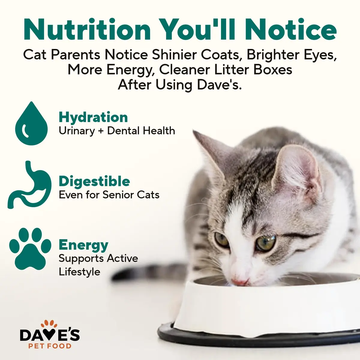 Dave's Pet Food Grain Free Canned Cat Food, Turkey & Giblets Pate, 12.5 oz | High-Protein, Grain-Free Nutrition - view 4