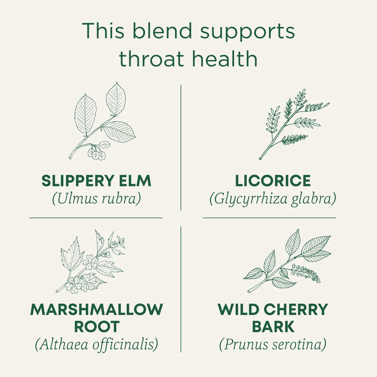 Traditional Medicinals Throat Coat Seasonal Tea 16 Tea Bags | Supports Throat & Immunity - view 2